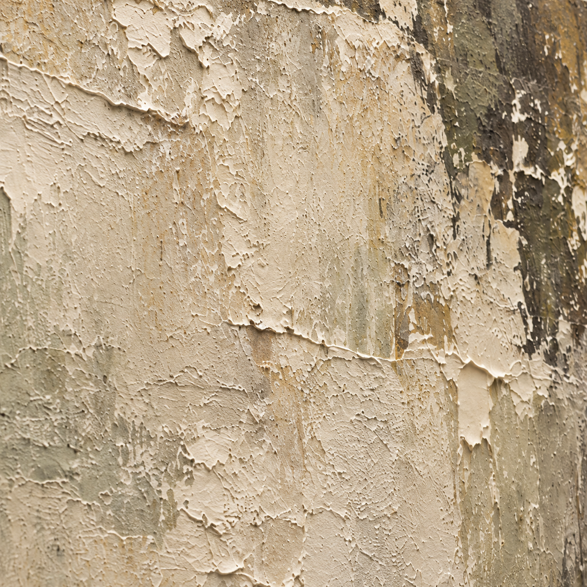 Antlered-Mist oil painting brushwork and impasto detail photographed from an oblique side angle